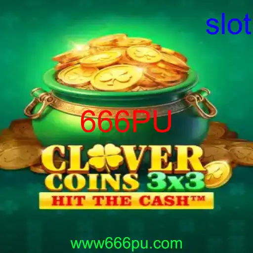 Clovercoin3x3